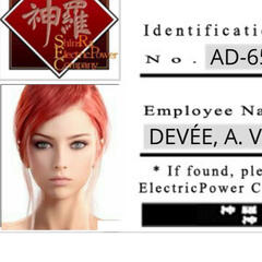 Preview of ShinRa ID Card